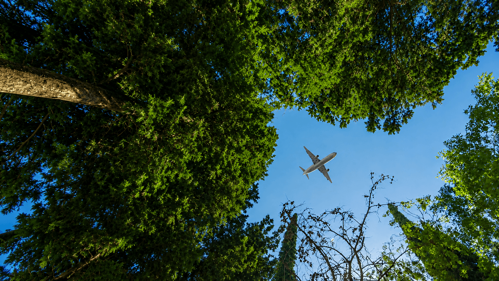 CORSIA Advisory — International Aviation Carbon Compliance