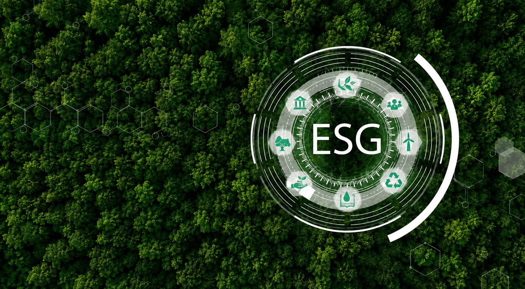 ESG Advisory & Reporting (BSR)